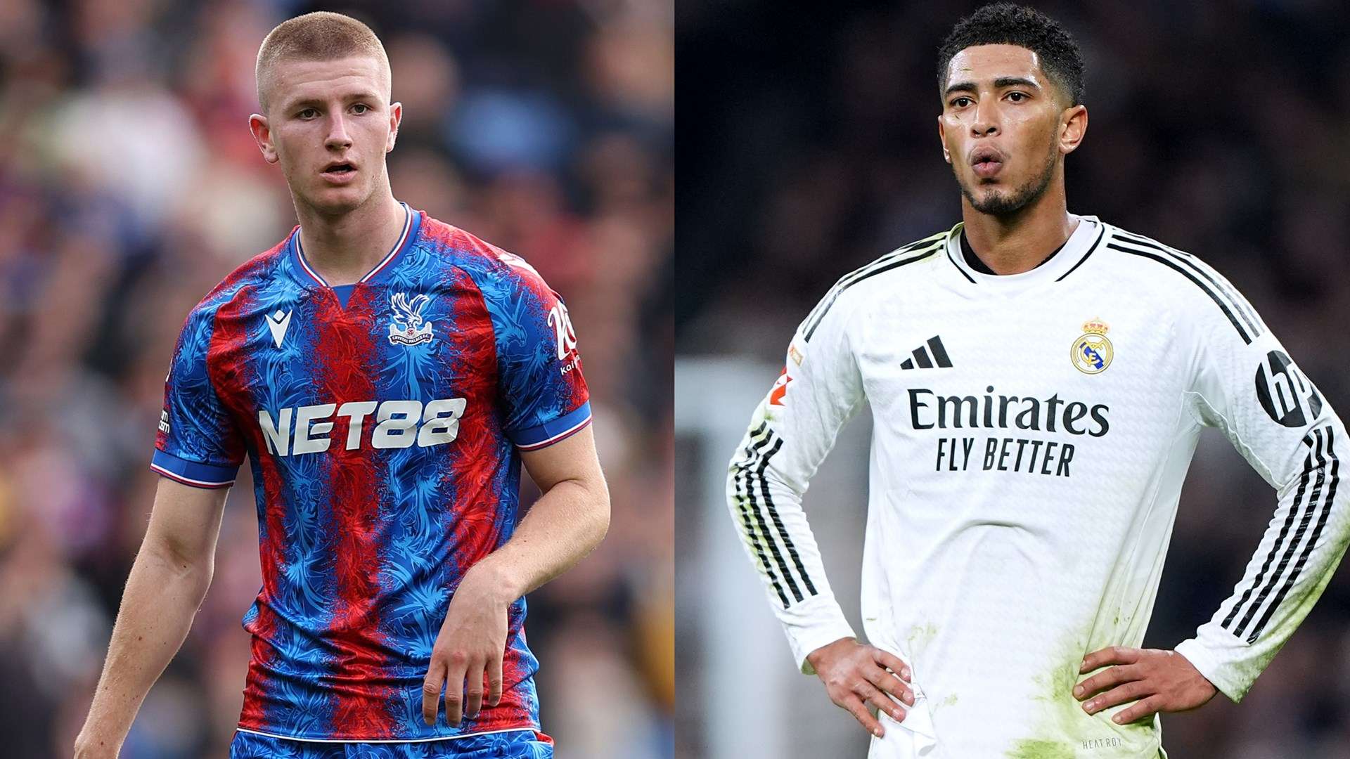 也能提升球 也能提升球